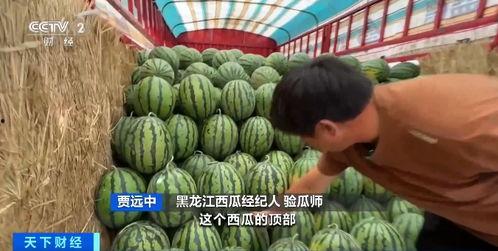 _吃瓜网是什么平台,揭秘热门八卦资讯的聚集地