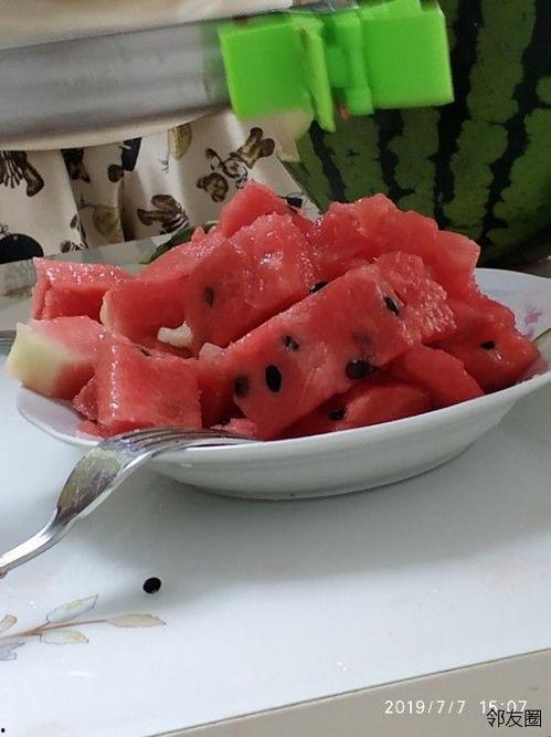 吃瓜跳舞网红英文名,揭秘“瓜舞”女孩的崛起之路