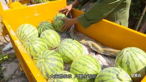 恩施网红吃瓜2022,年度美食盛宴背后的故事