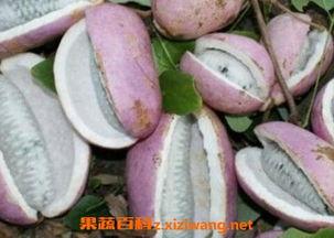 恩施网红吃瓜2022,年度美食盛宴背后的故事