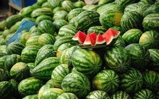 威海吃瓜网红事件真相揭秘,揭秘背后真相与争议