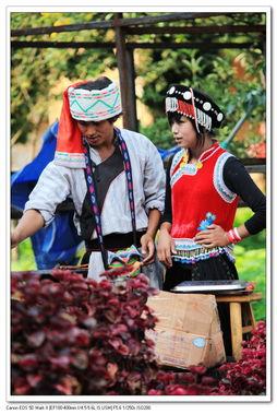 怒江傈僳族小伙吃瓜网