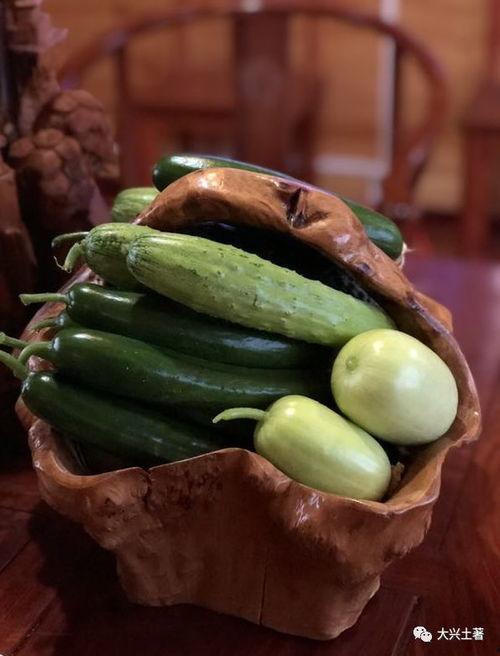 青岛网红戈优吃瓜视频,揭秘网络热点背后的故事