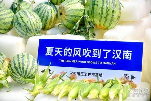 吃网爆瓜,揭秘娱乐圈最新热点事件