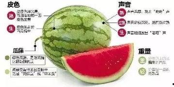 射阳网红吃瓜群微信,揭秘网络热点背后的故事