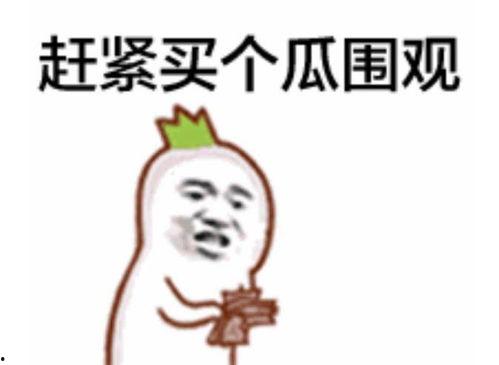 东北网红吃瓜群众是谁啊