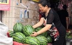 东北网红吃瓜群众是谁啊