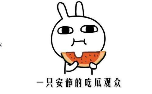 抖音我的晴崽吃瓜网,带你领略网络红人的魅力