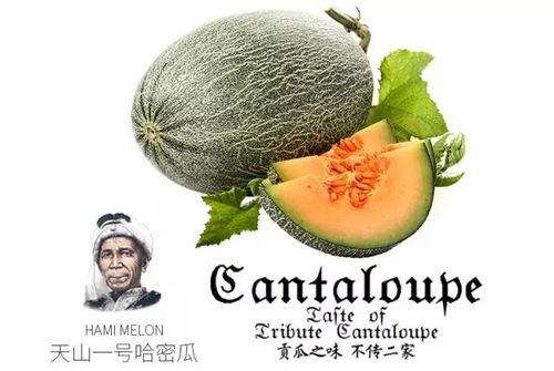 吃瓜网红拍照神器推荐