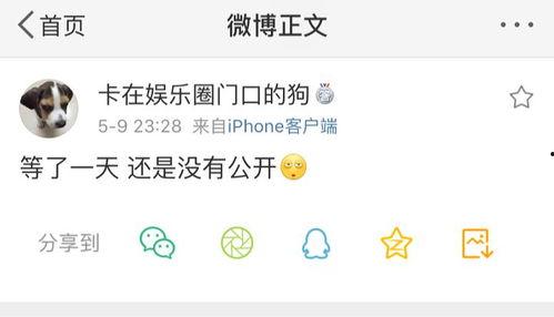 21吃瓜爆料官网,独家爆料，娱乐圈幕后真相大曝光