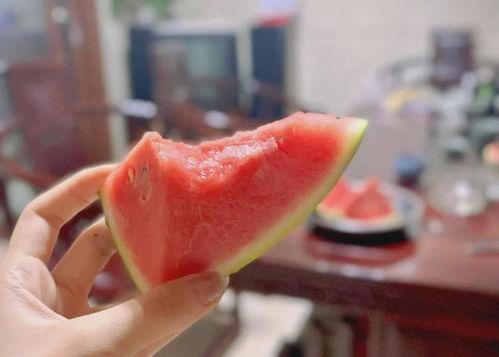 吃瓜网为什么一直存在网络中,揭秘吃瓜网长盛不衰的网络奥秘