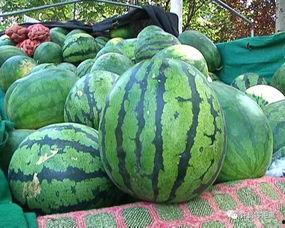 网红吃瓜群怎么找,如何轻松找到热门话题聚集地